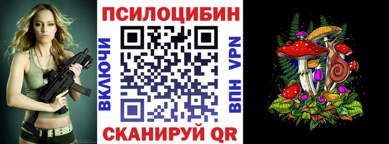 hydra tor Партизанск Псилоцибиновые грибы мицелий